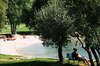 Polari Camping 
